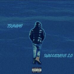 Cover of Swaggatarius 2.0
