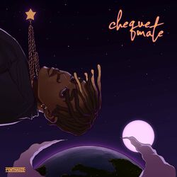 Cover of Chequemate