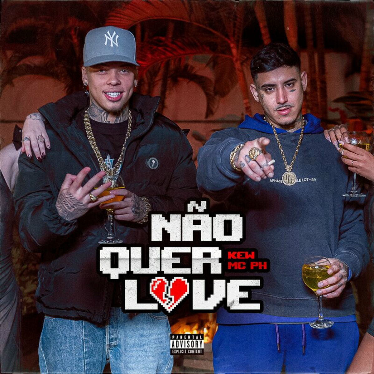 Album cover of Não Quer Love