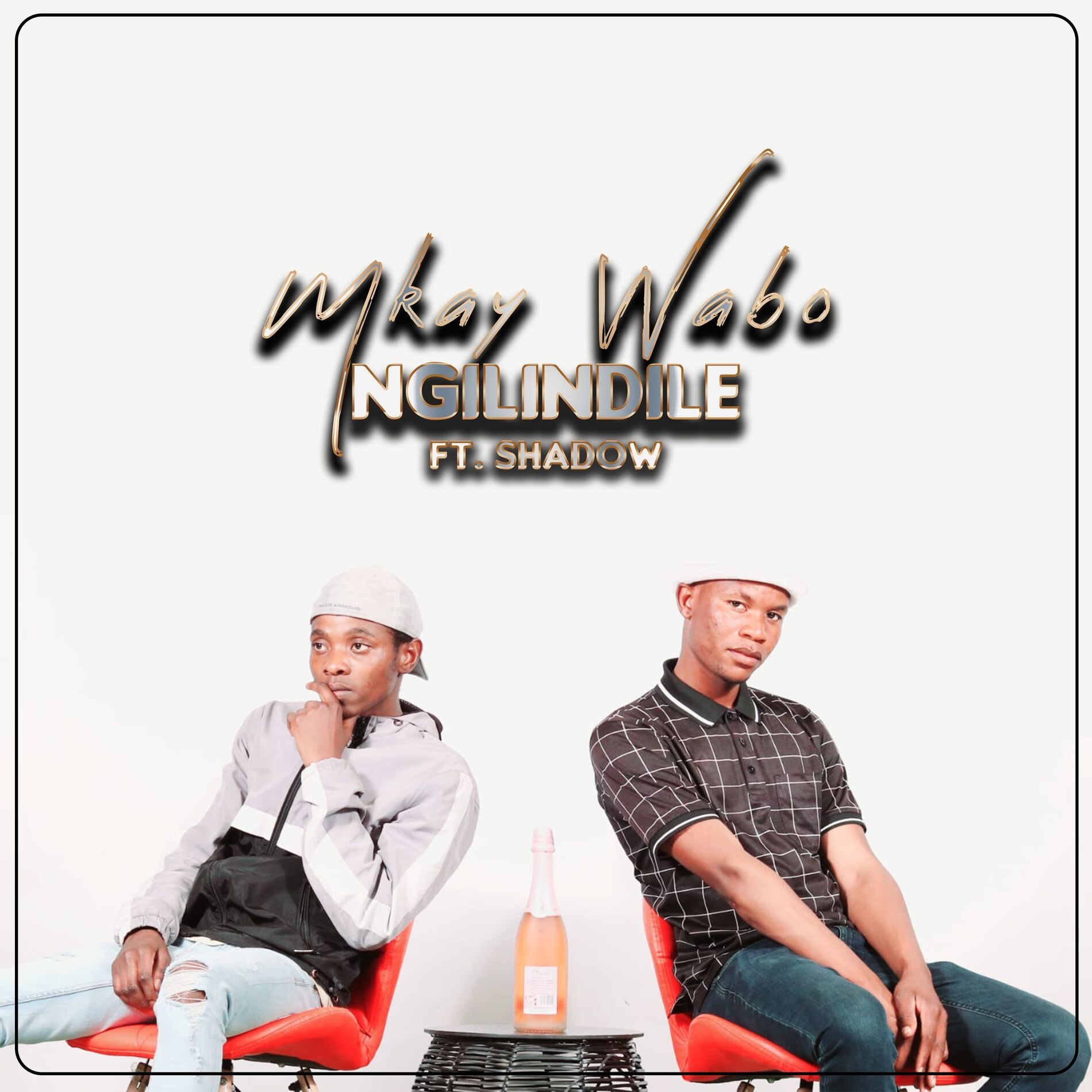 Album cover of Ngilindile