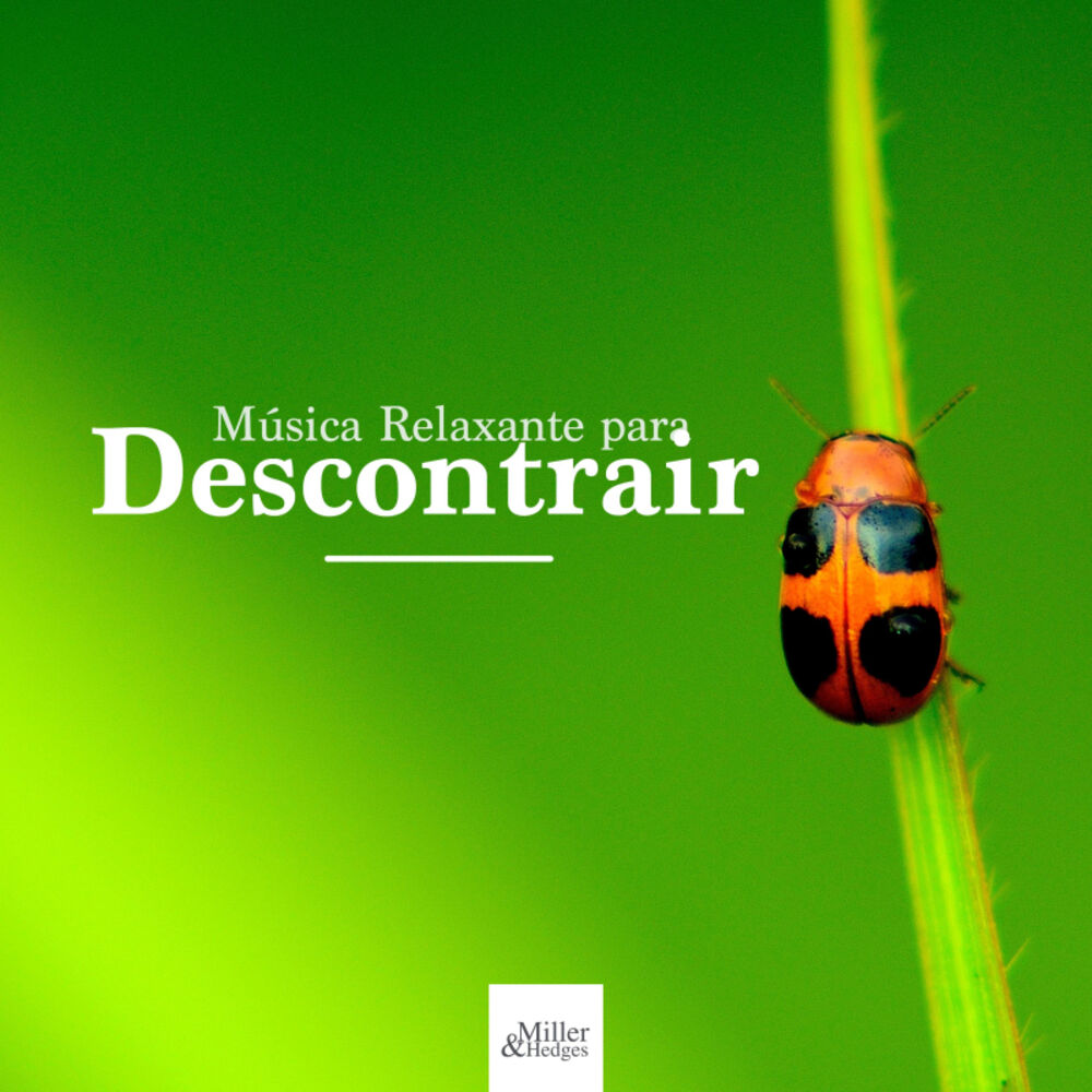 Picture of Música Relaxante para Descontrair - Trabalhar, Acalmar a Mente, Estudar