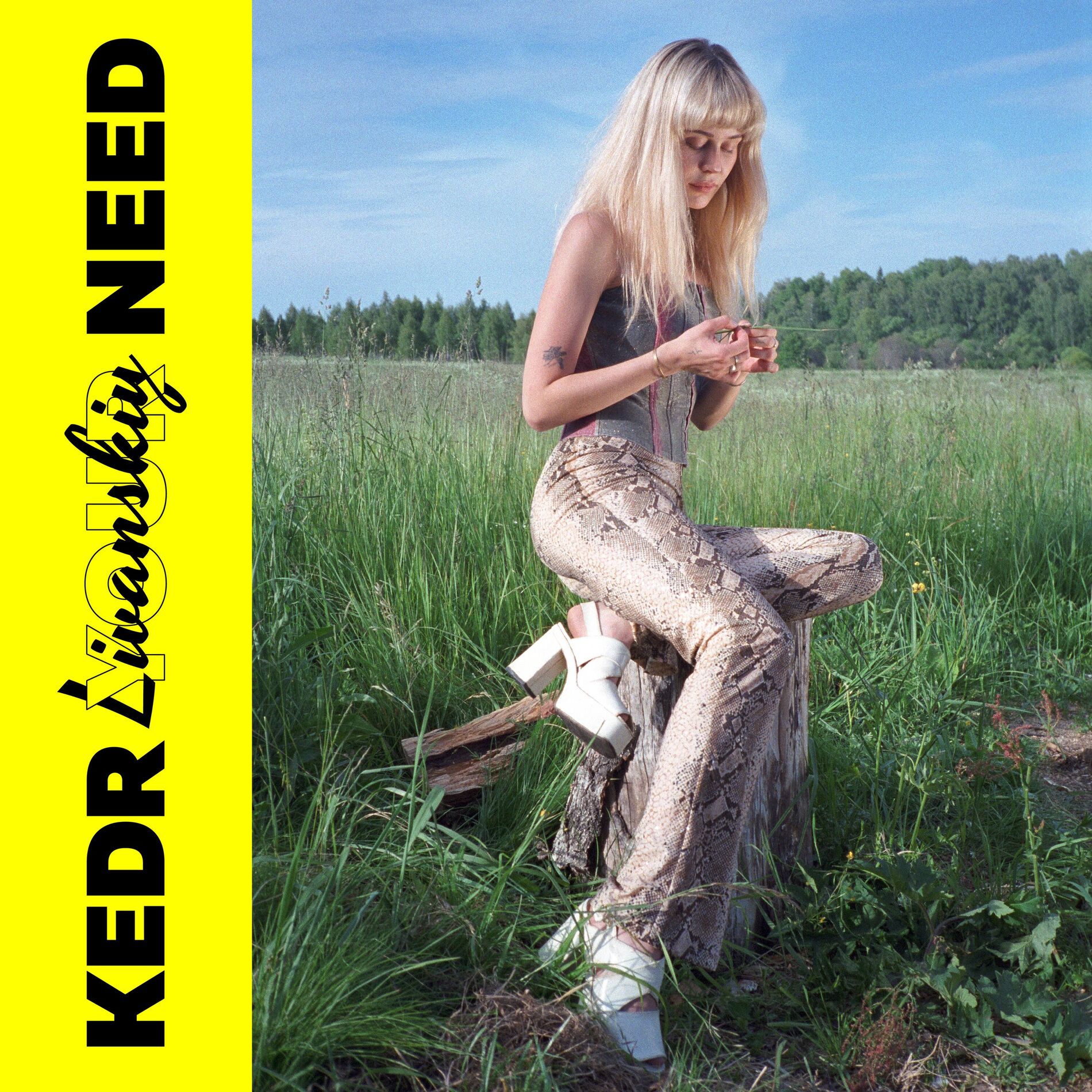 Album cover of Your Need