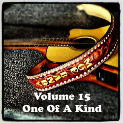 Cover of Volume 15 - One Of A Kind