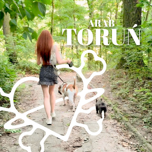 TORUŃ