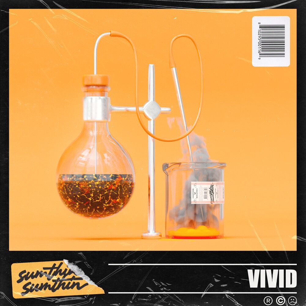 Picture of Vivid
