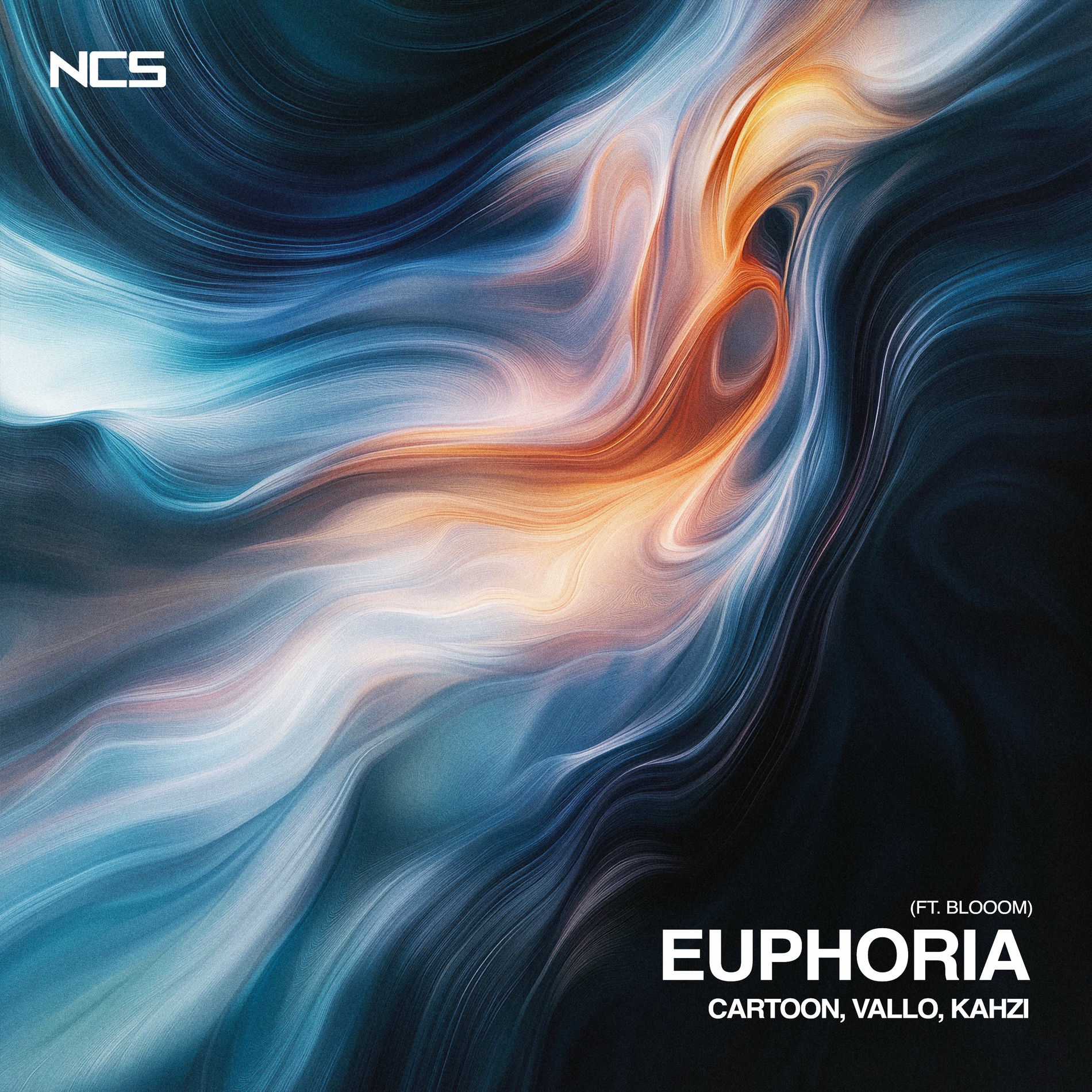 Album cover of Euphoria