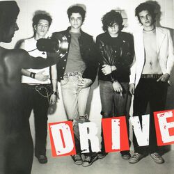 Cover of Drive