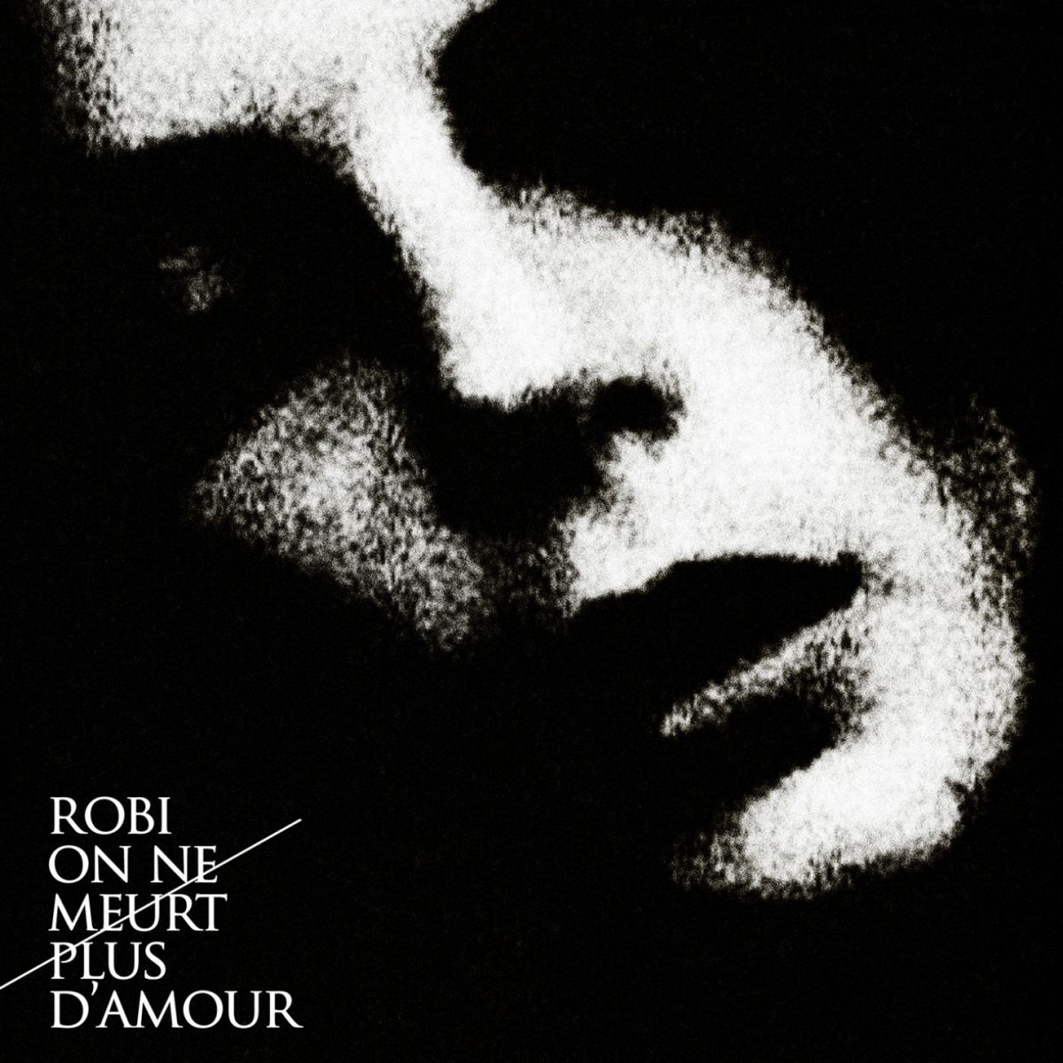 Album cover of On ne meurt plus d'amour