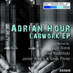 Cover of Labwork