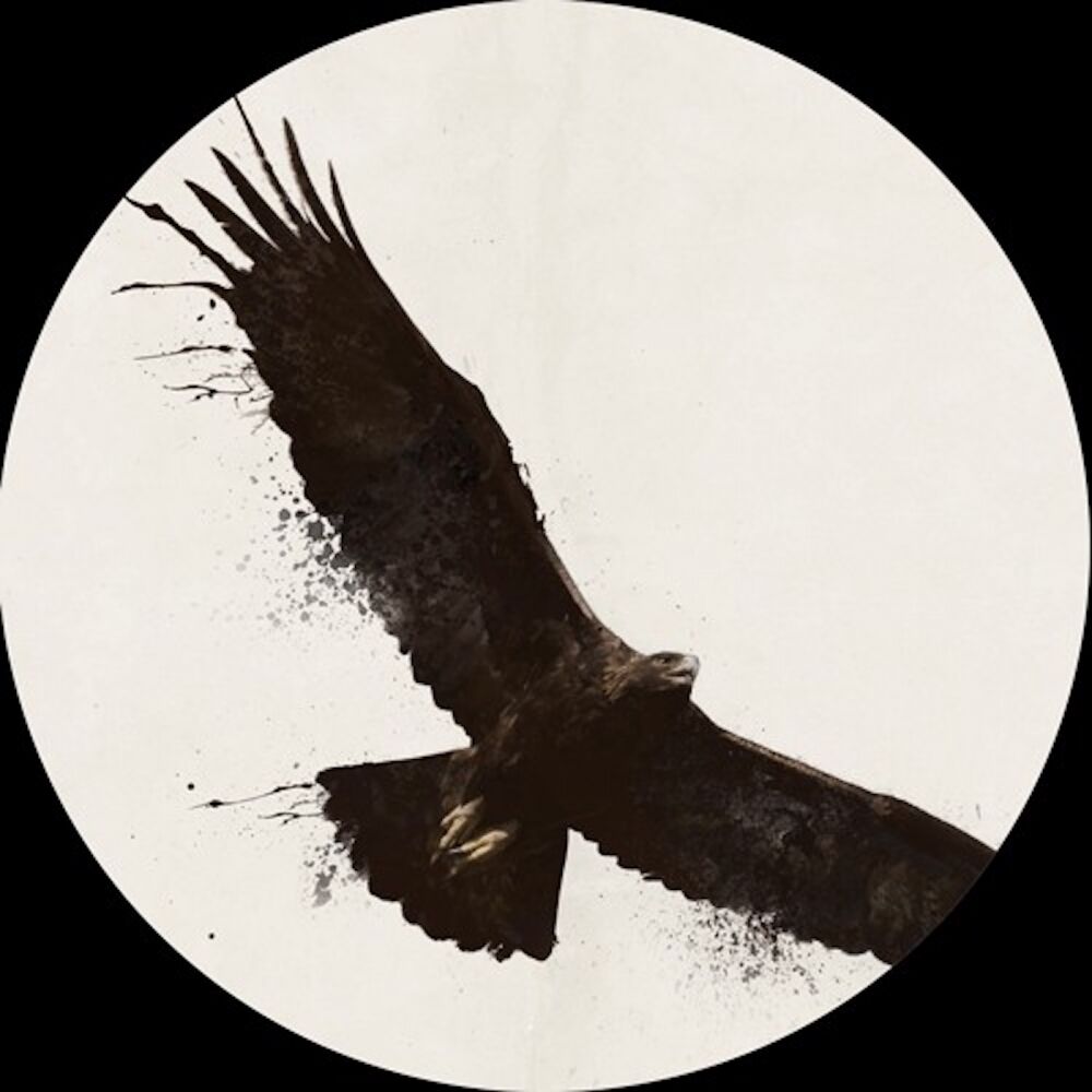 Picture of Split EP