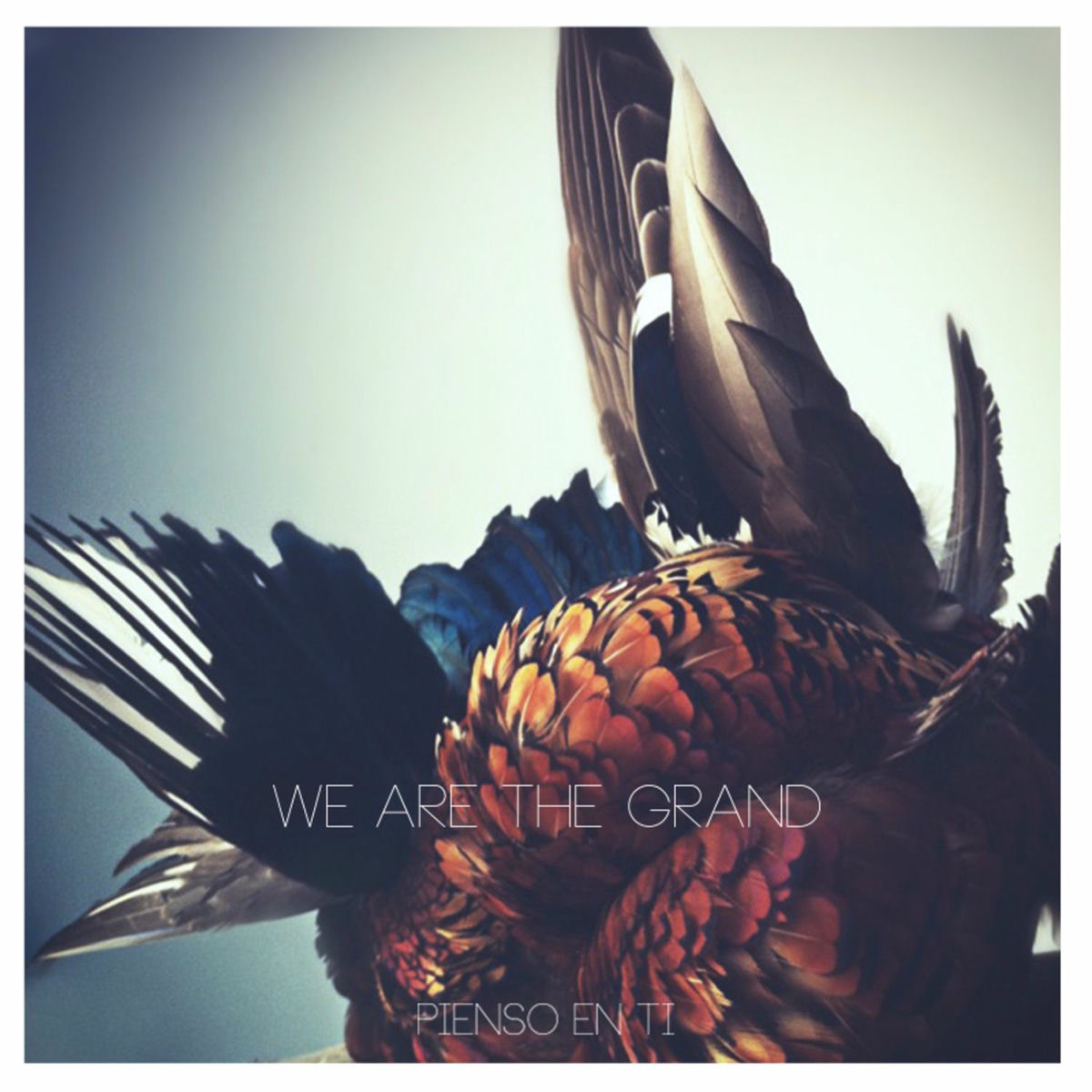 Album cover of Pienso En Ti