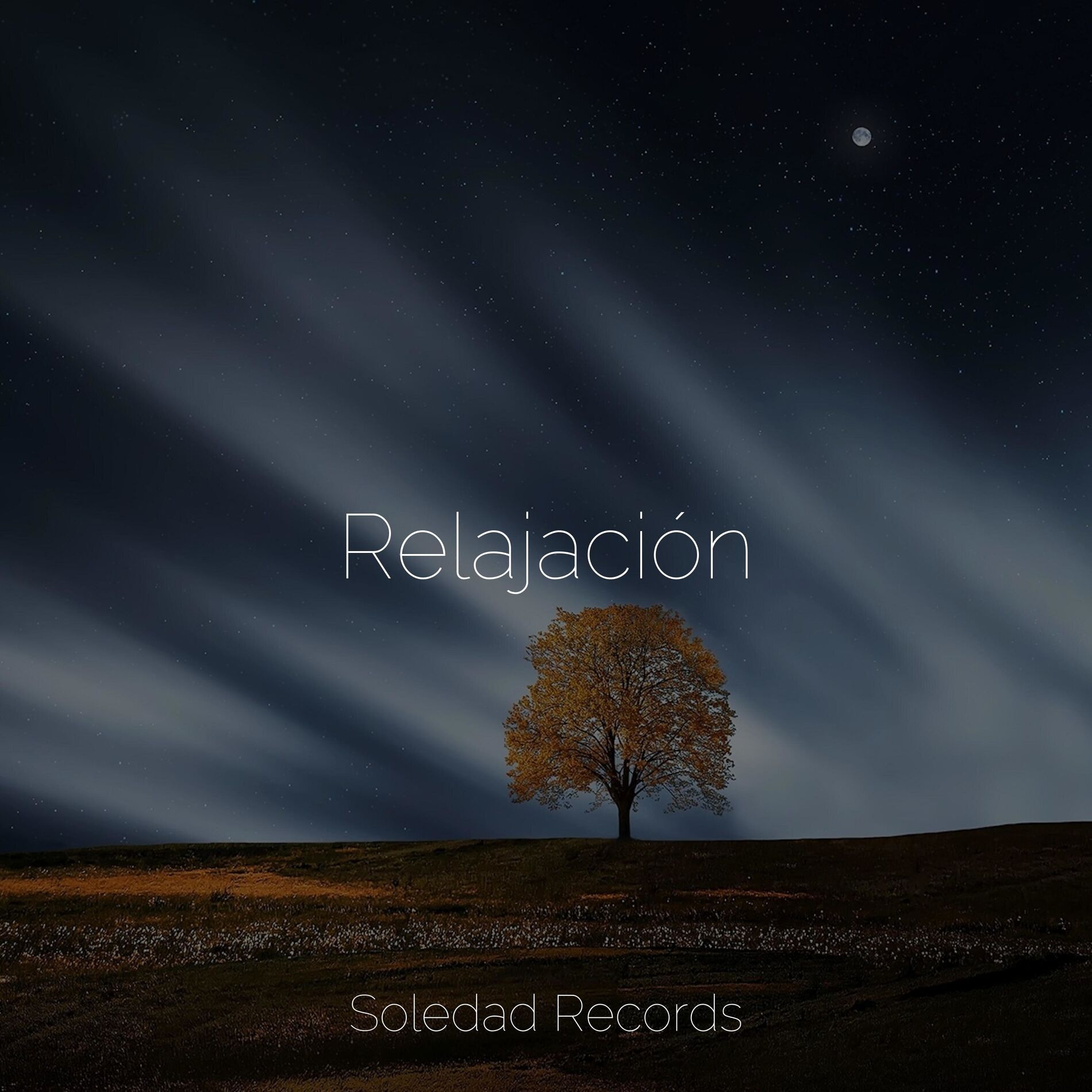 Album cover of Relajación