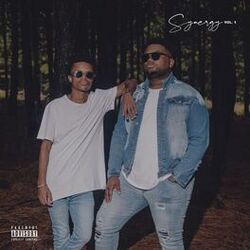 Cover of Synergy, Vol. 1
