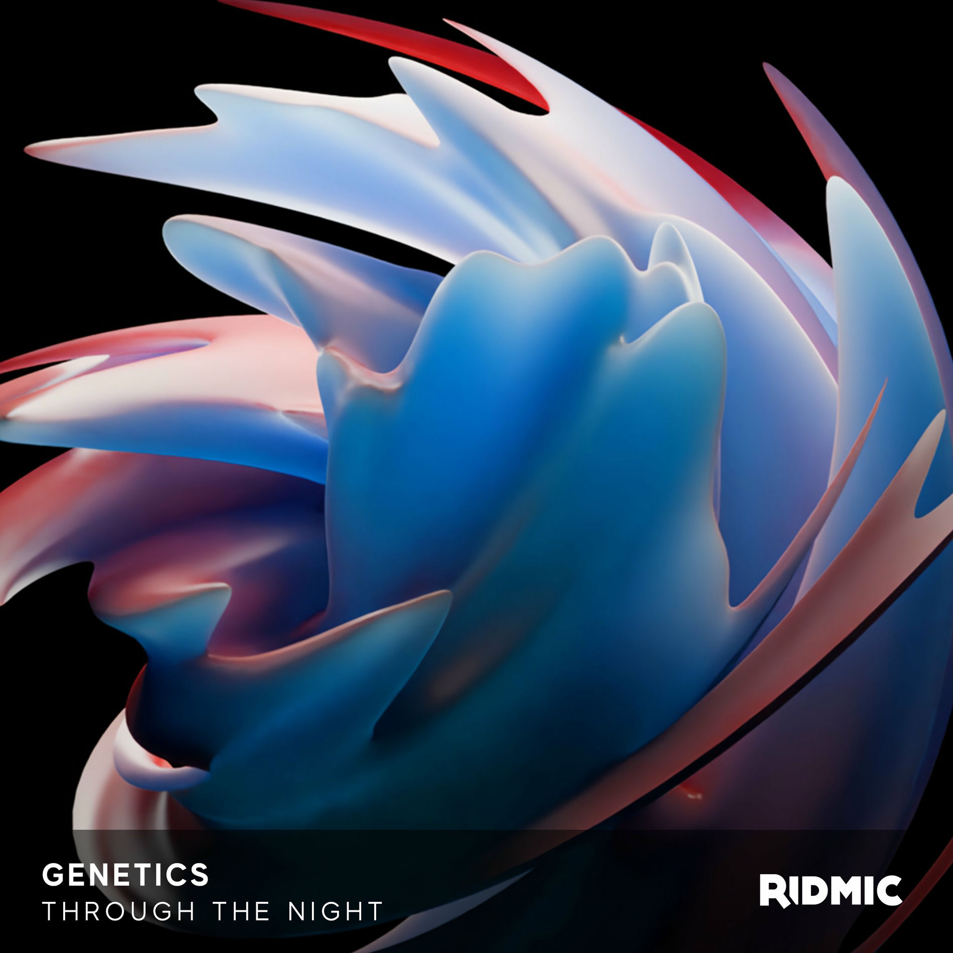 Album cover of Through The Night