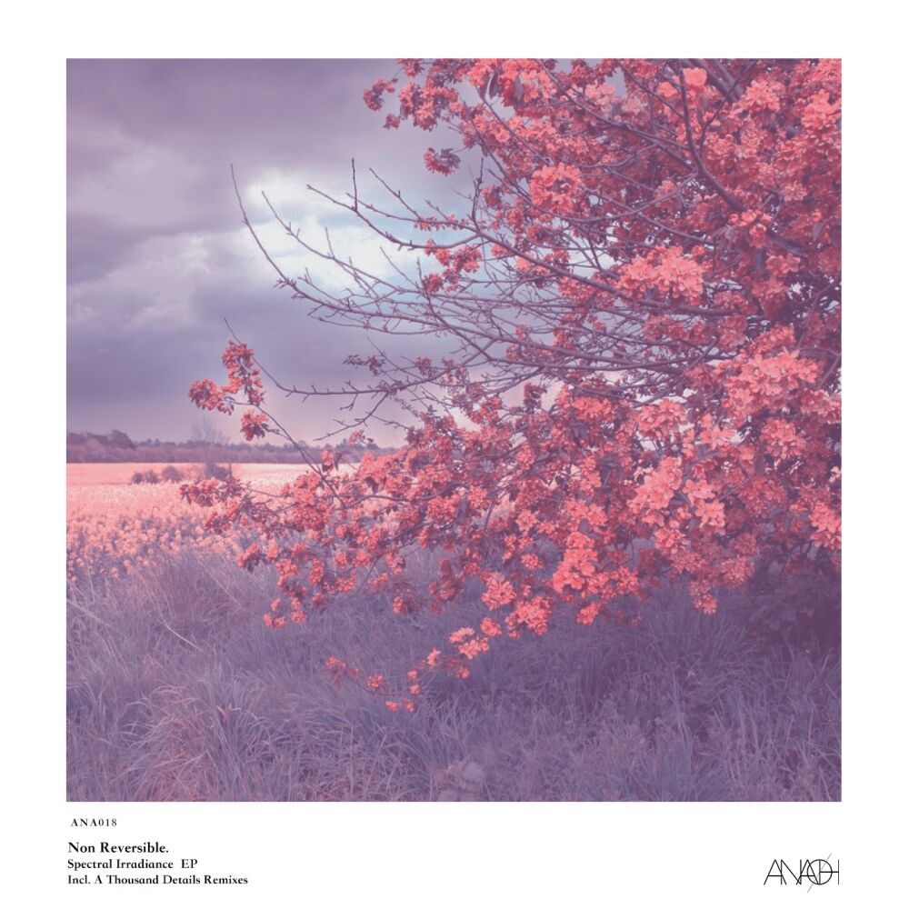 Picture of Spectral Irradiance EP