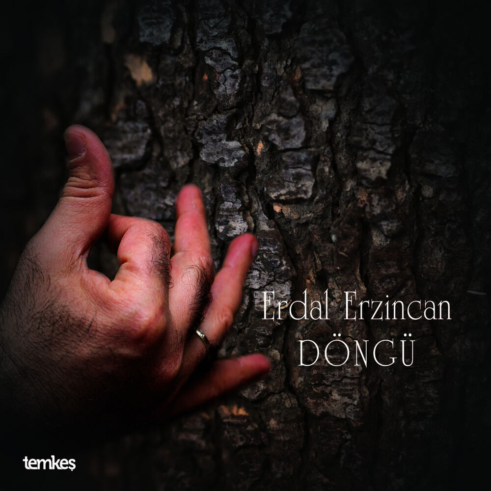 Picture of Döngü