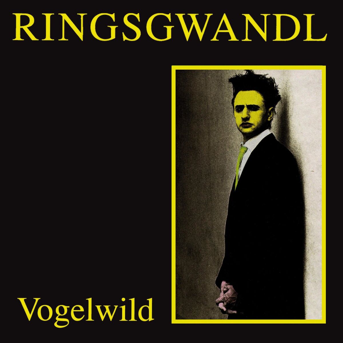 Album cover of Vogelwild