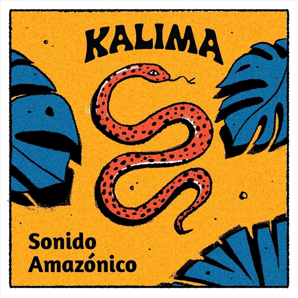 Picture of Sonido Amazónico