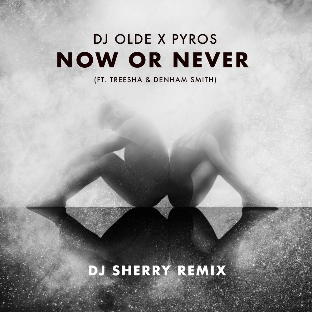Picture of Now or Never (feat. Treesha & Denham Smith) [DJ Sherry Remix]