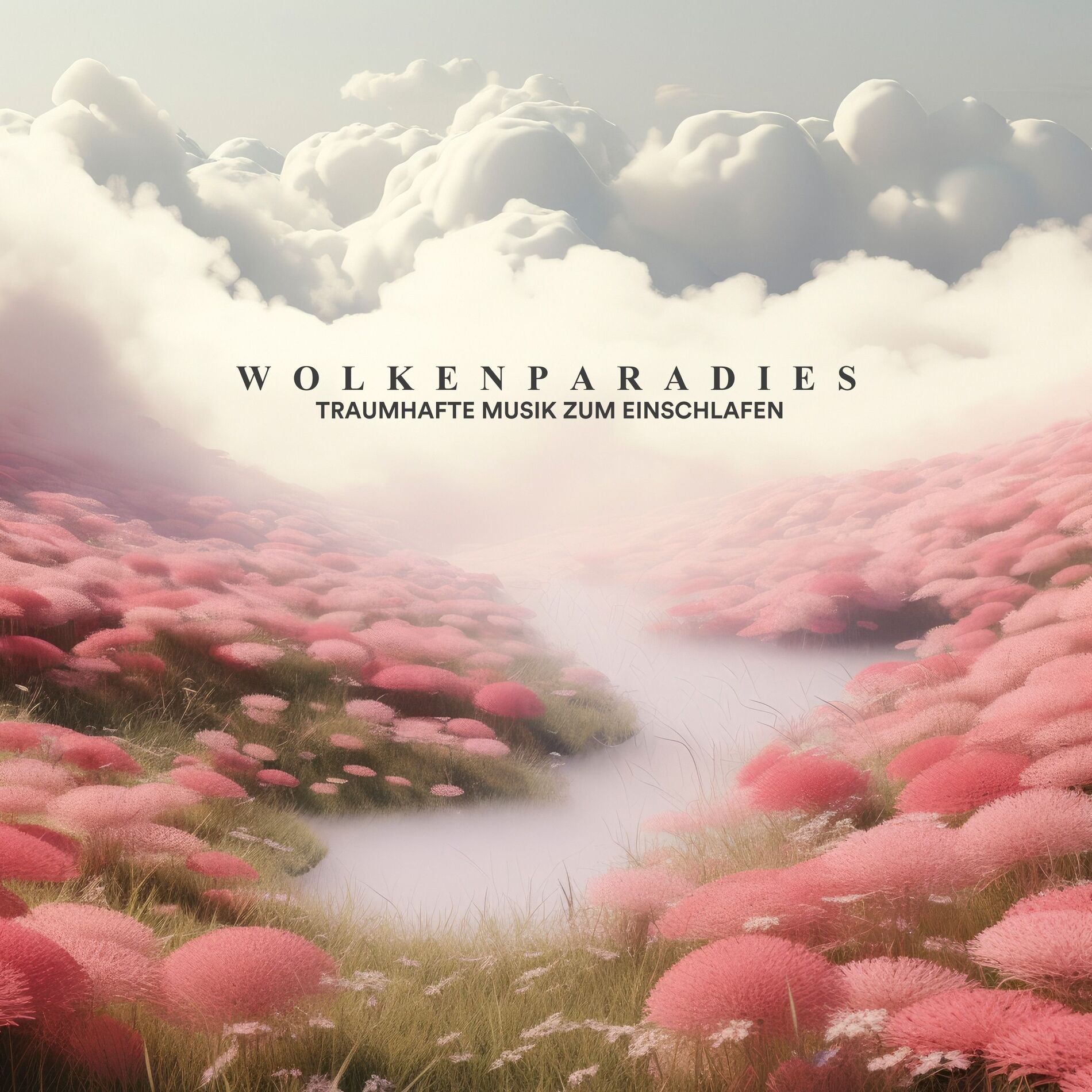 Album cover of Wolkenparadies: Traumhafte Musik zum Einschlafen