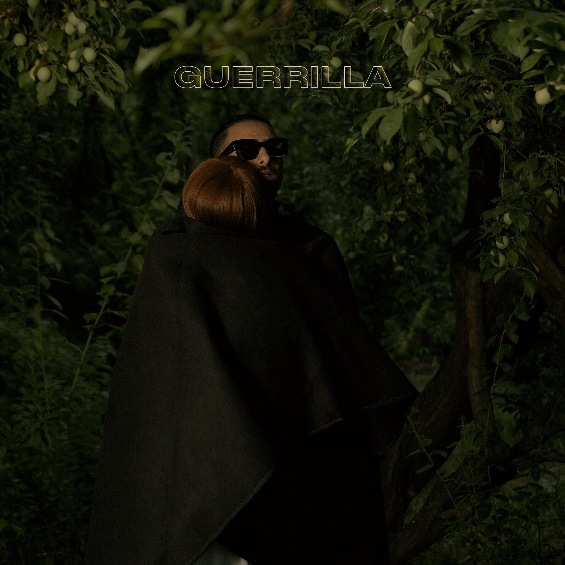 Album cover of Guerrilla