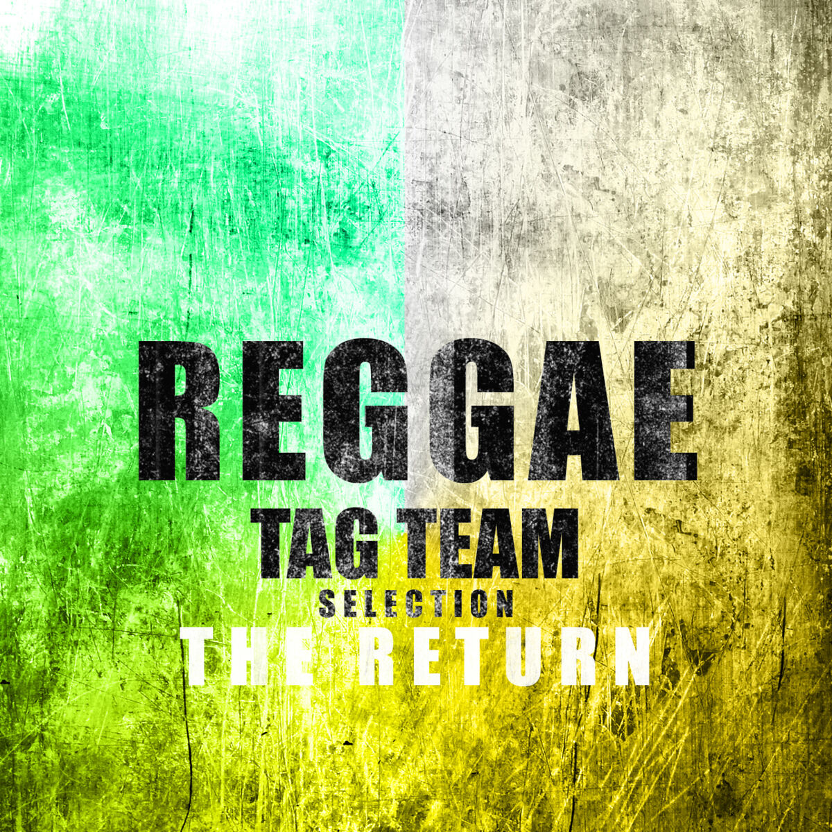 Album cover of Reggae Tag Team Selection The Return Platinum Edition