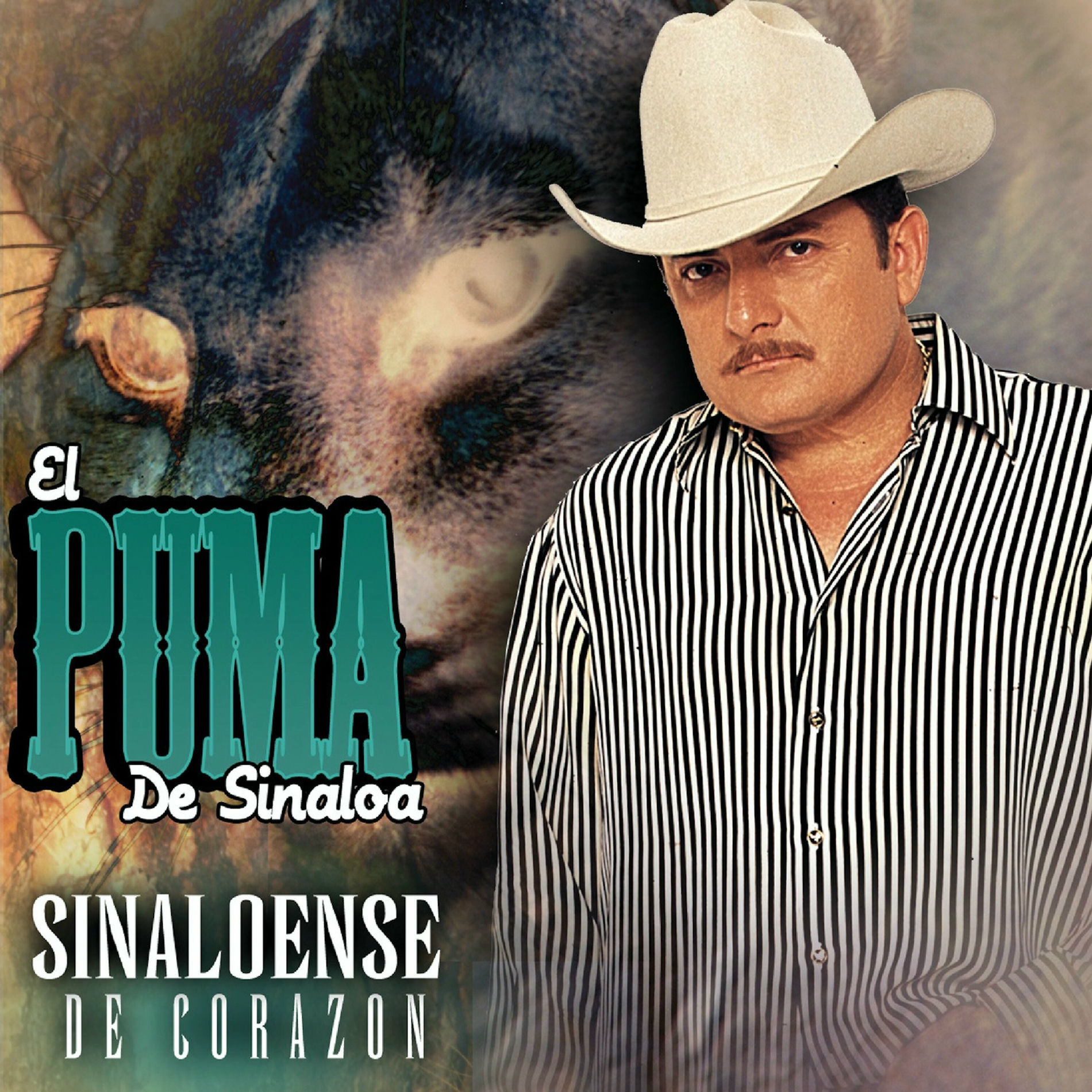 Album cover of El Caporal