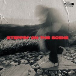 Cover of STEPPIN ON THE SCENE