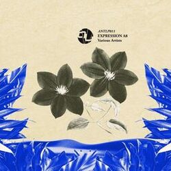 Cover of Expression A8 (Radio Edit)