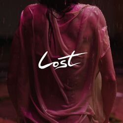 Cover of Lost