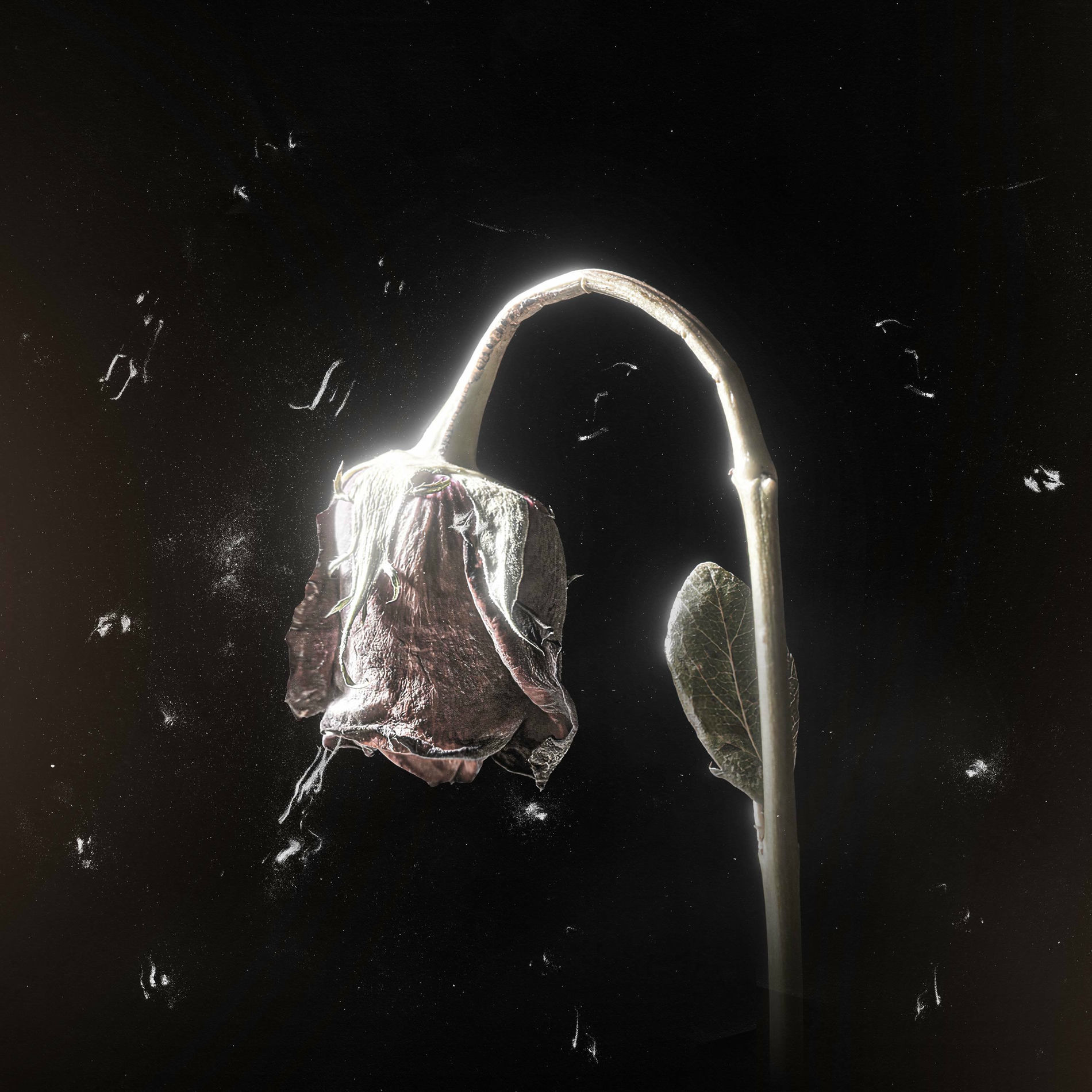 Album cover of Değilim Bi Aşık