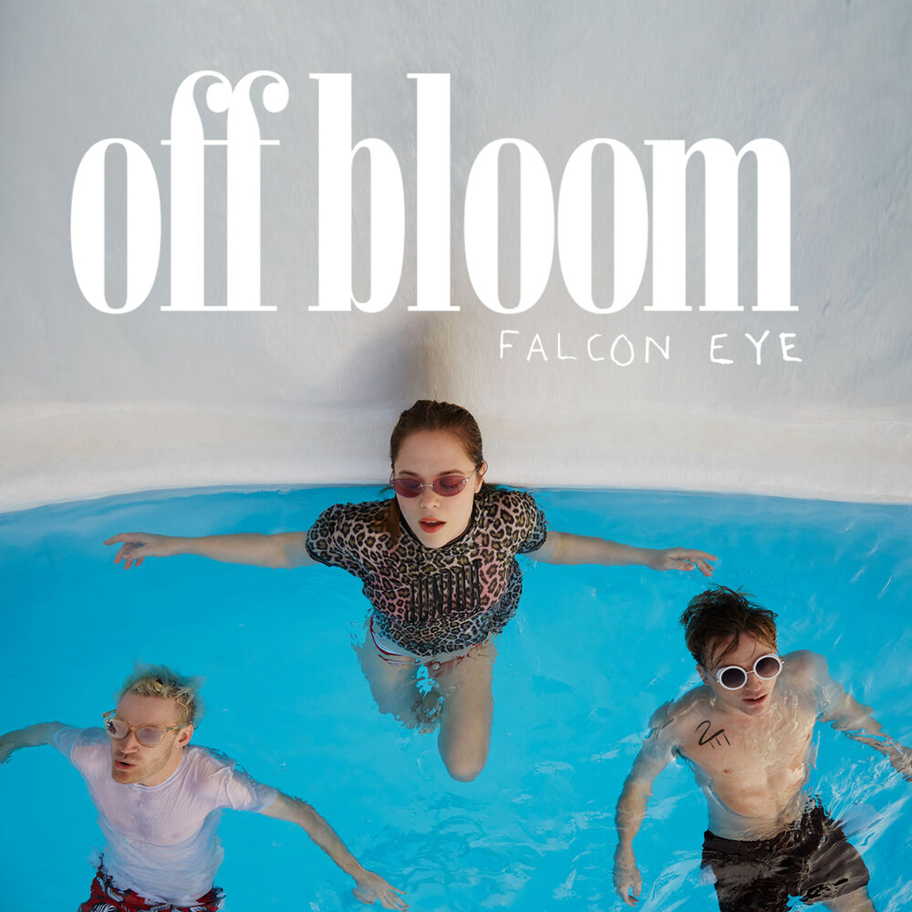 Picture of Falcon Eye