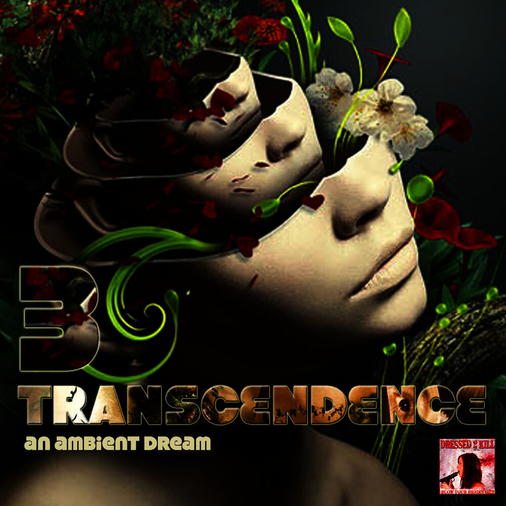Picture of Transcendence 3