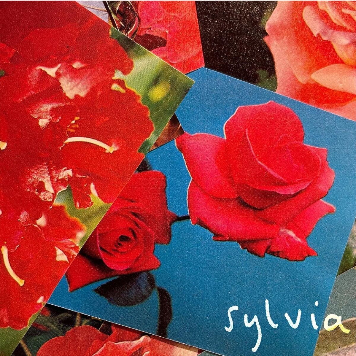 Album cover of Sylvia