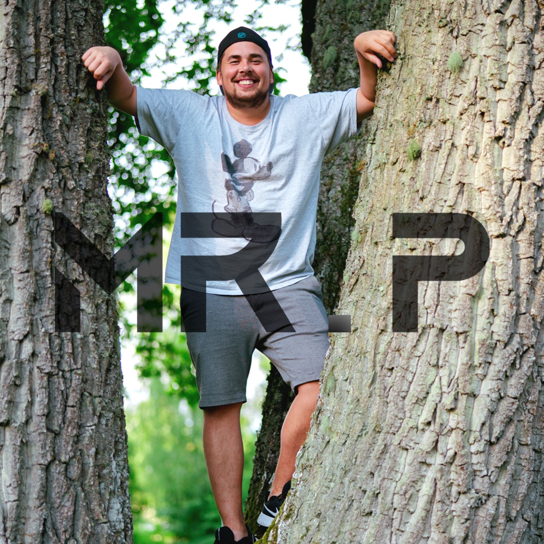 Album cover of Mr.P