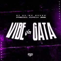 Cover of Vibe da Gata by undefined