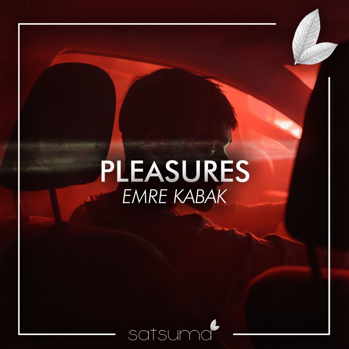 Album cover of Pleasures