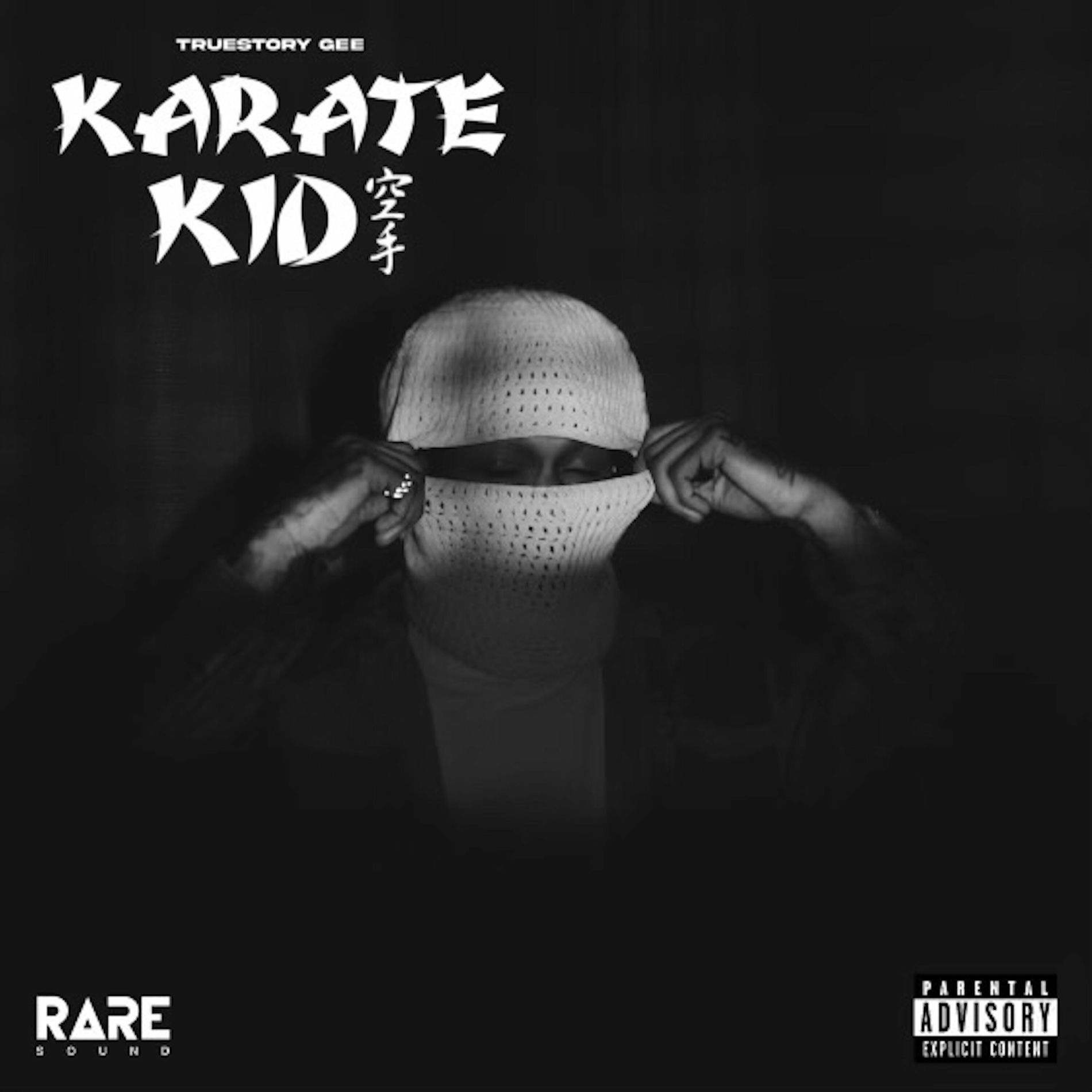 Album cover of Karate Kid