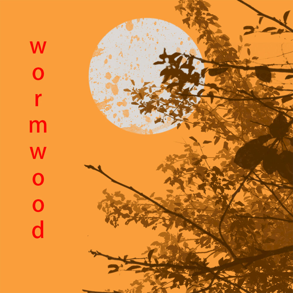 Picture of wormwood
