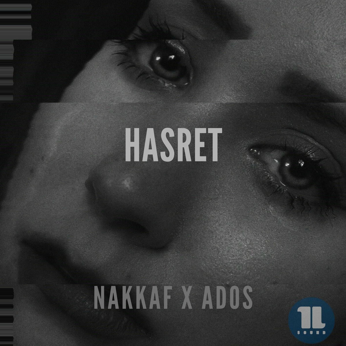 Album cover of Hasret