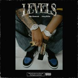Cover of Levels (feat. Sunny Malton)