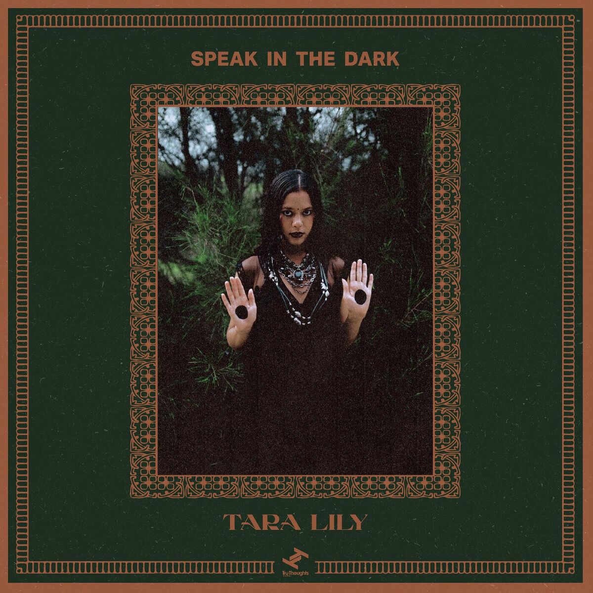 Album cover of Speak In The Dark