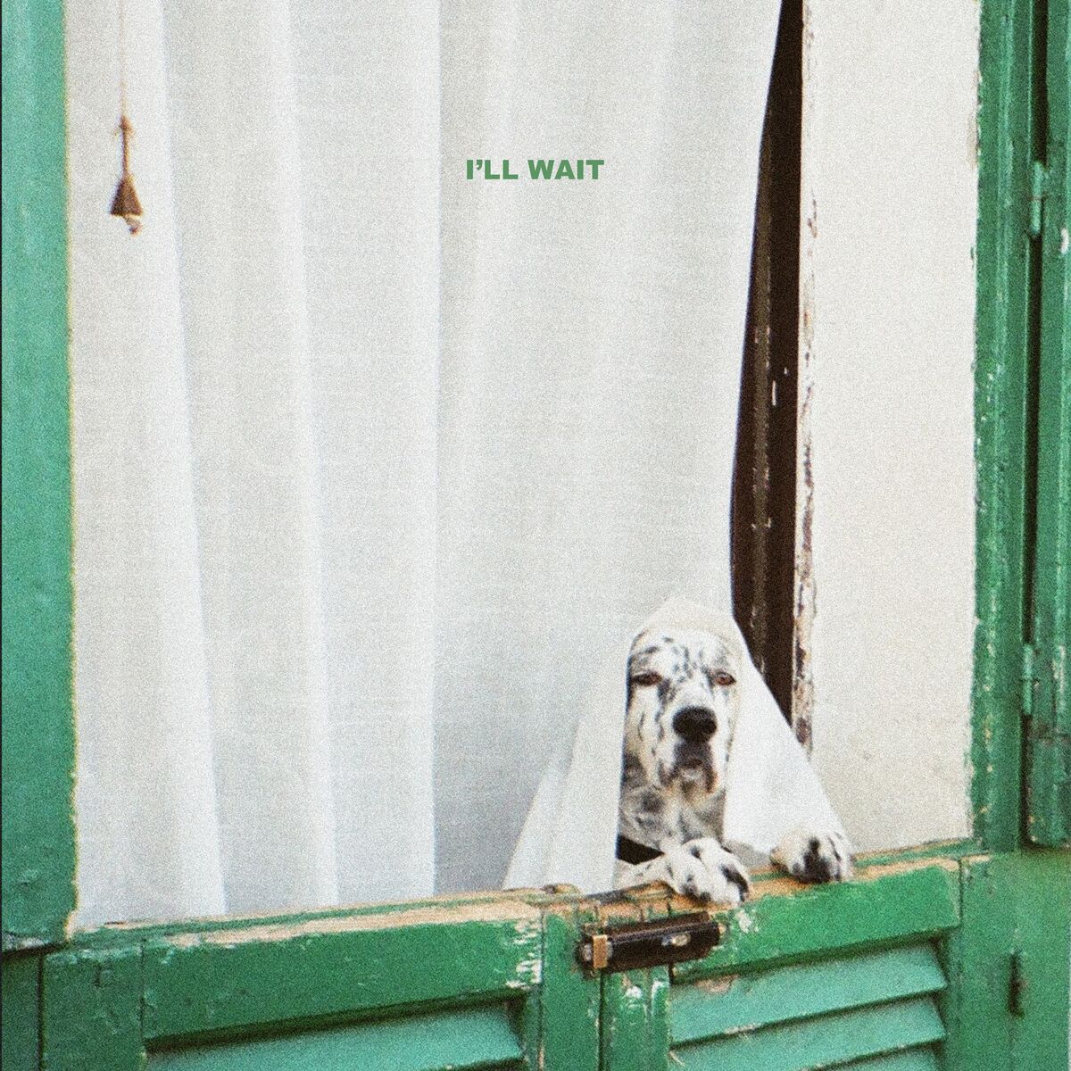 Album cover of I'll Wait
