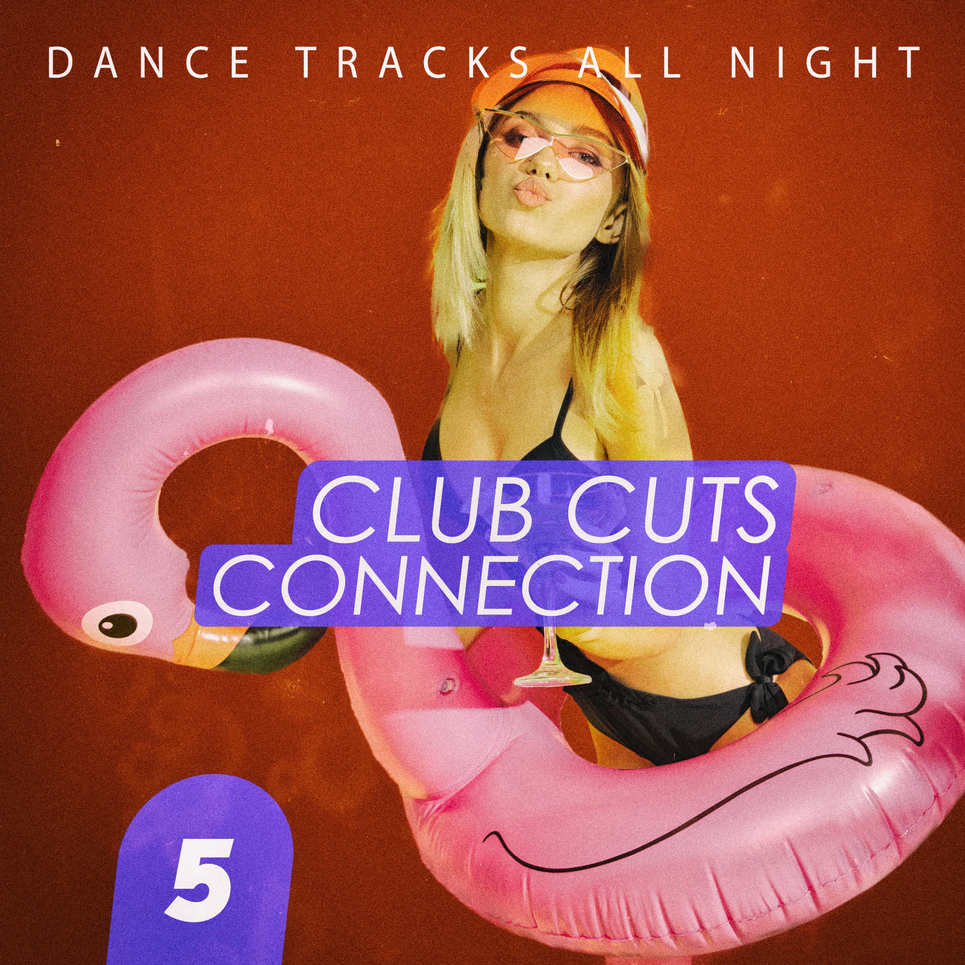 Album cover of Club Cuts Connection, Vol. 5