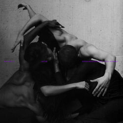 Cover of LUSTRE