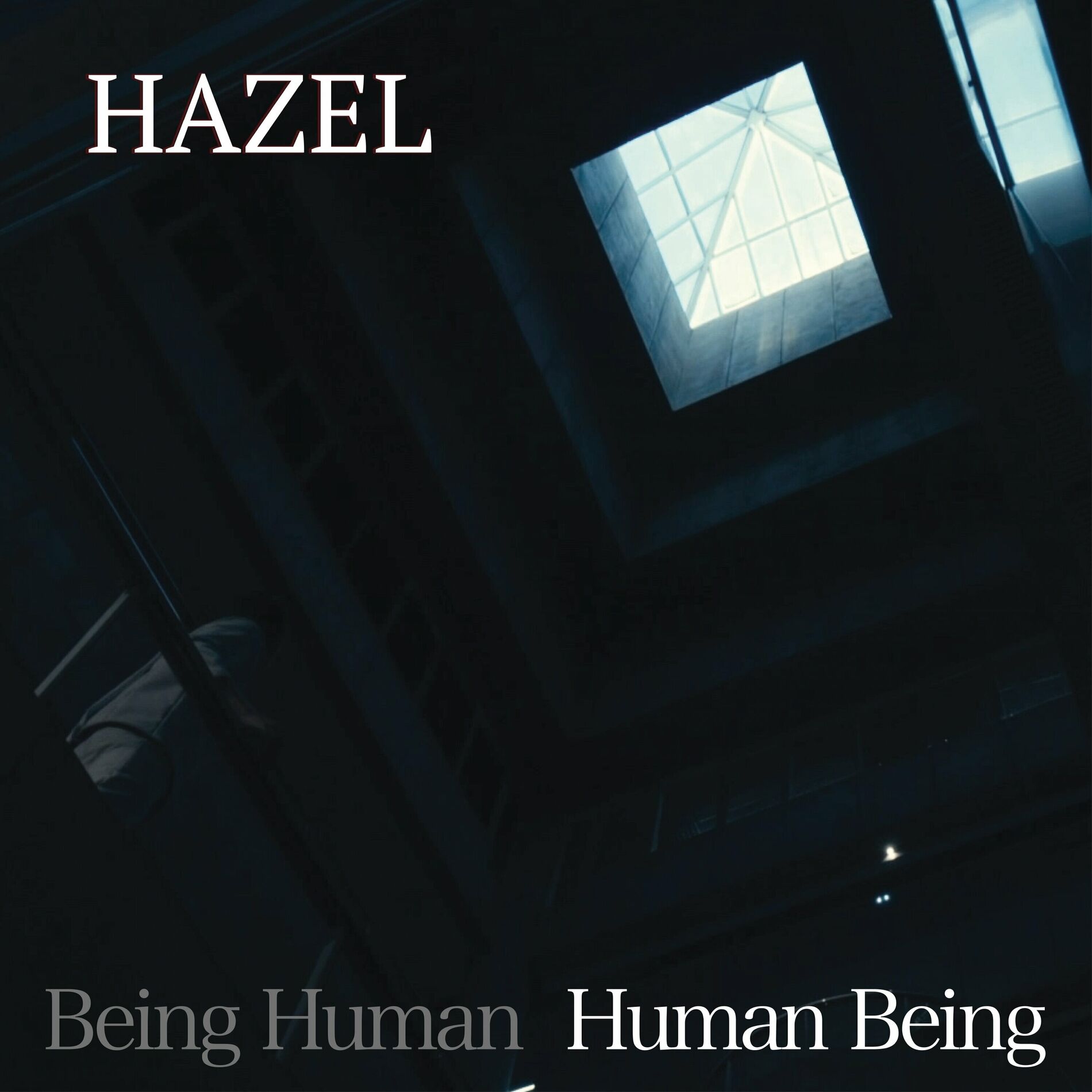 Album cover of Being Human - Human Being
