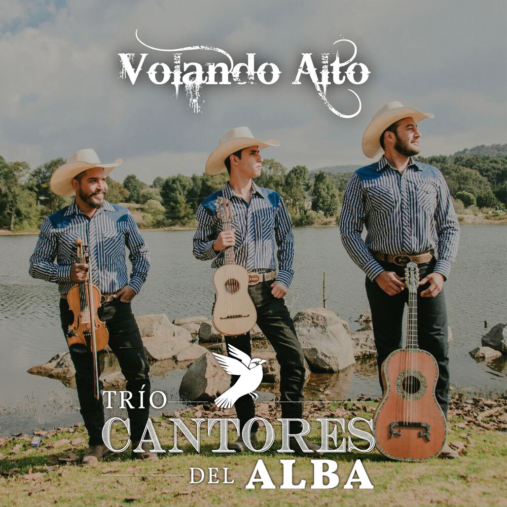 Picture of Volando Alto