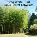 Pan's Secret Labyrinth