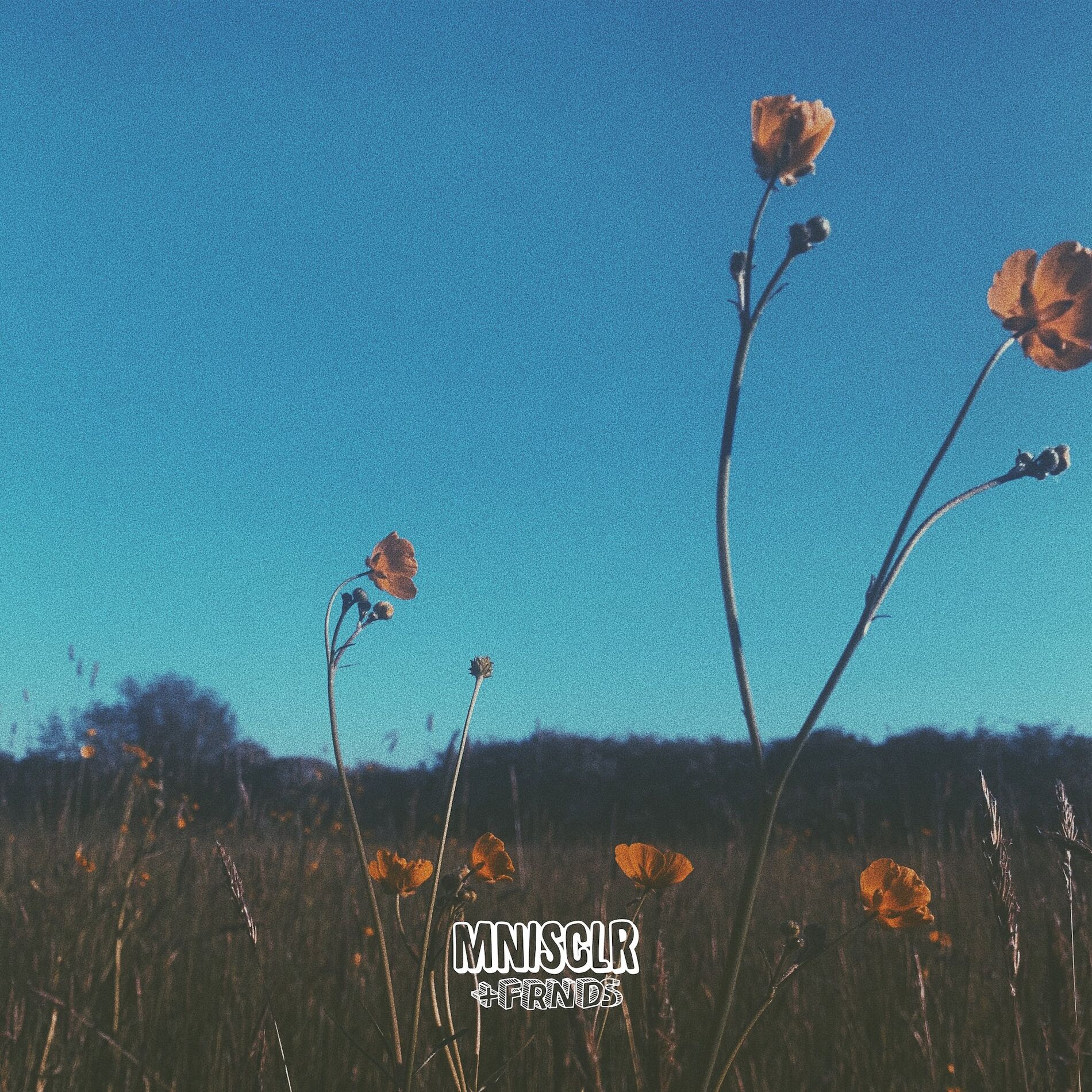 Album cover of Let The Light In
