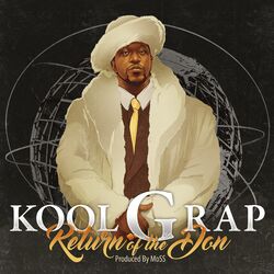 Cover of Return of the Don